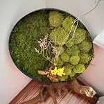 Apartman Slunecny S Terasou Jako Doma I Mimo Domov České Budějovice